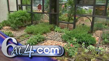 PHS Temporary Garden