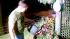 Adam Joseph watering some of the plants in the...