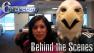 Swoop visits Alicia and the Action News team