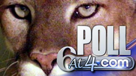 Cougar Mascot Poll