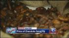 Business Report: Chocolate prices going up