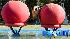 ABCs Wipeout