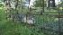 Trenton Alligator Captured