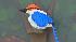The Philadelphia Zoo opens Creatures of...