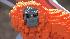 The Philadelphia Zoo opens Creatures of...