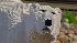 The Philadelphia Zoo opens Creatures of...