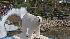 The Philadelphia Zoo opens Creatures of...