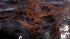 Weathered oil from a leaking pipeline that...