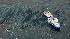 In this aerial photo taken in the Gulf of Mexico...