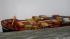 The Panamanian-registered container ship MSC...