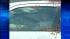 Once most of the insects were off the car, the...