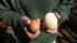 Brian Hayes of West Amwell Township is trying to...