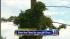 The Jesus vine, as some have dubbed it, is...