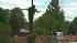 You decide - does this vine resemble the image...