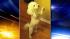 Puppy Einstein lives with Toni Ringgold of 6abcs...