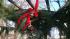 Some of the winter decorations that Adam Joseph...