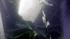 Sunken cruise ship Costa Concordia off Italy
