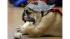 Beautiful Bulldog competition