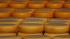 Fat fighting foods - Cheese