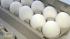 Fat fighting foods - Eggs