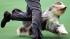 Colton Johnson shows off Swagger, an Old English...