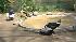 Andean condors George and Princess :: Wild at the Zoo