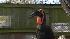 Oscar and Cleo - the Hornbills :: Wild about the Zoo