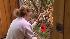 Tiger Training - at 11 months old :: Wild About the Zoo