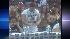 Wing Bowl 17