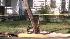 Storm Damage