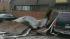 Storm rips roof off of Del. Co. daycare :: The roof was blown off the Todays Child Learning Center in Primos, Pa.