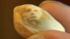 A woman in Dublin, Ohio says she sees the...