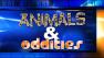 Animals and Oddities