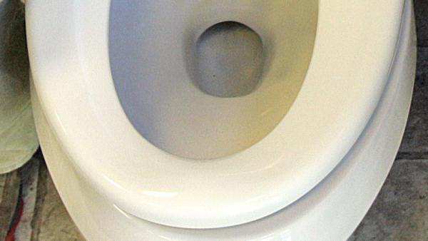 toilet seat