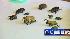 Beetles found in U.S. Mail