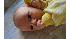 Making cheese out of breast milk