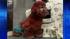Dyed-dog craze sweeps China