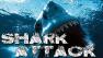 Shark Attack
