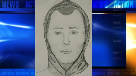 Purse snatching suspect
