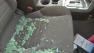 Car vandlism in Holmesburg