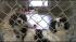 Officers found 25 dogs being housed outside in...