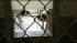 Officers say all the animals were malnourished,...