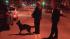 Valentines Day warrant sweep in Philadelphia