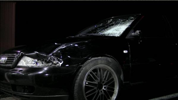 Fatal Bucks Co. hit and run