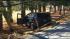 Delaware teens crash SUV