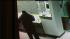 Robbery at Main Line jewelry store