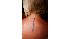 Celebrity Tattoos