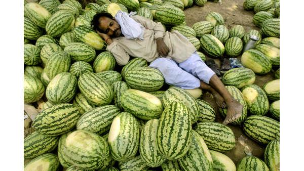 A roadside watermelon vendor takes a nap in Allahabad, India, Thursday, May 1, 2008.  (AP Photo)