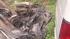 Wreckage of Jackass star Ryan Dunns car