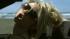 Courtney Stodden